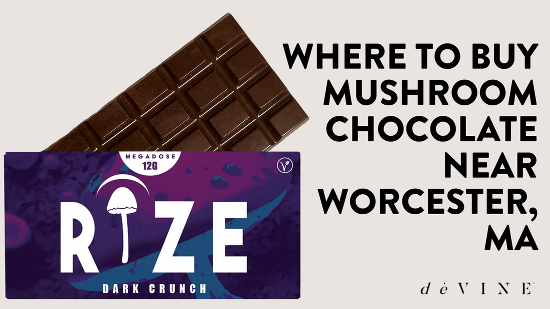 Where to Buy Mushroom Chocolate Near Worcester, MA