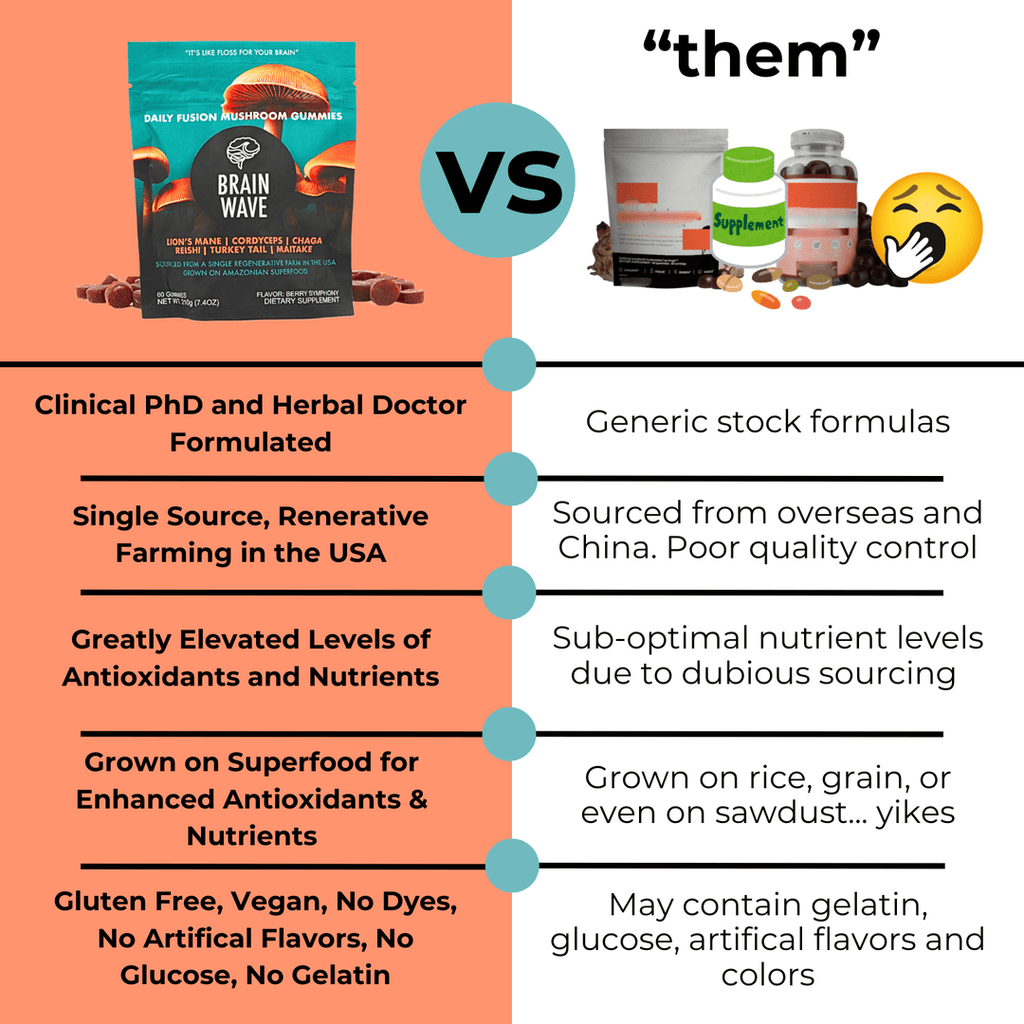 Brain Wave Superfood Mushroom Gummies