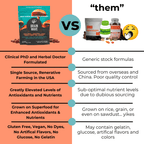 Brain Wave Superfood Mushroom Gummies