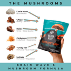 Brain Wave Superfood Mushroom Gummies