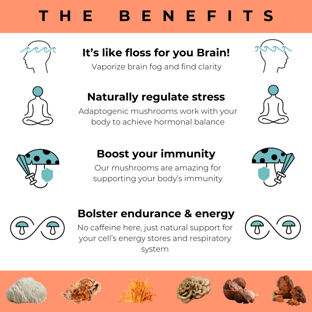 Brain Wave Superfood Mushroom Gummies