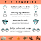 Brain Wave Superfood Mushroom Gummies