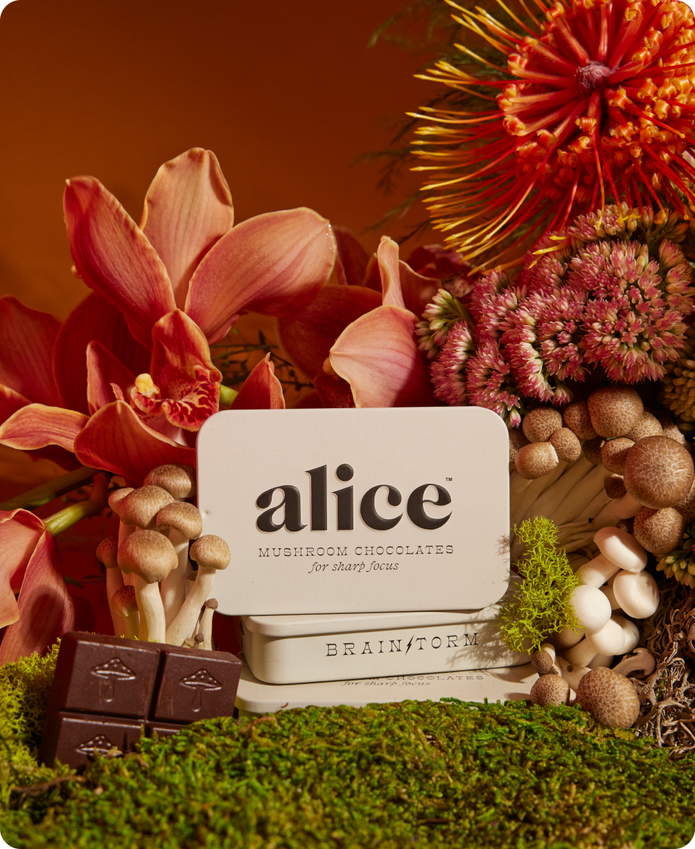 Brainstorm Mushroom Chocolate