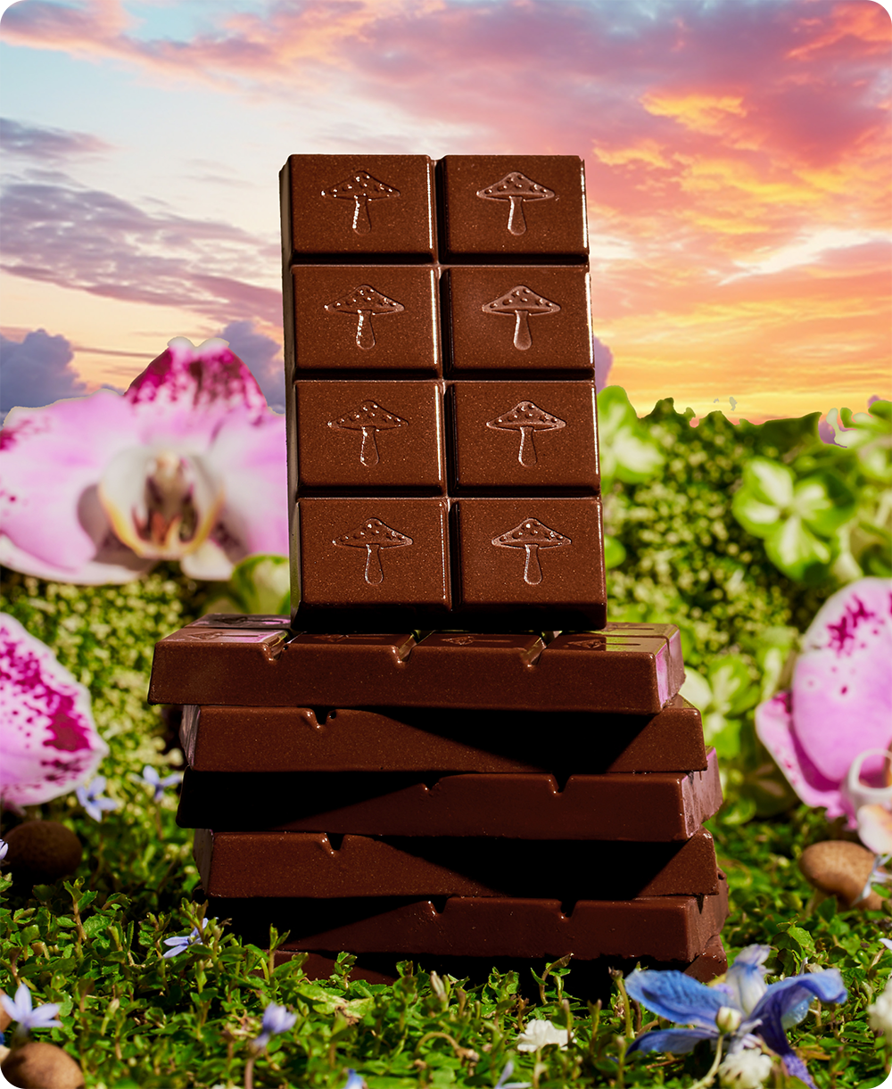 Happy Ending - Mushroom Chocolate