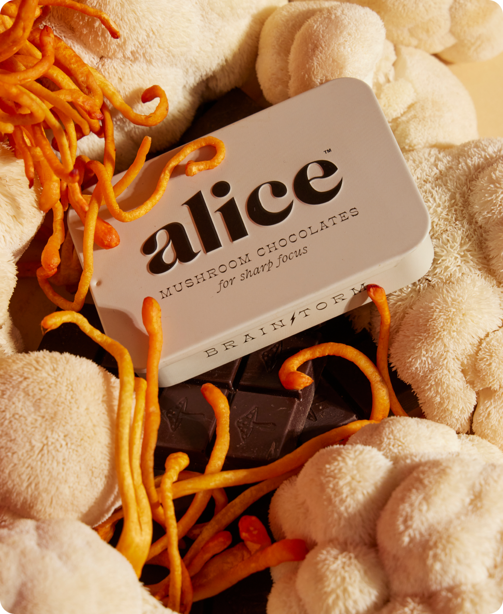 Brainstorm Mushroom Chocolate
