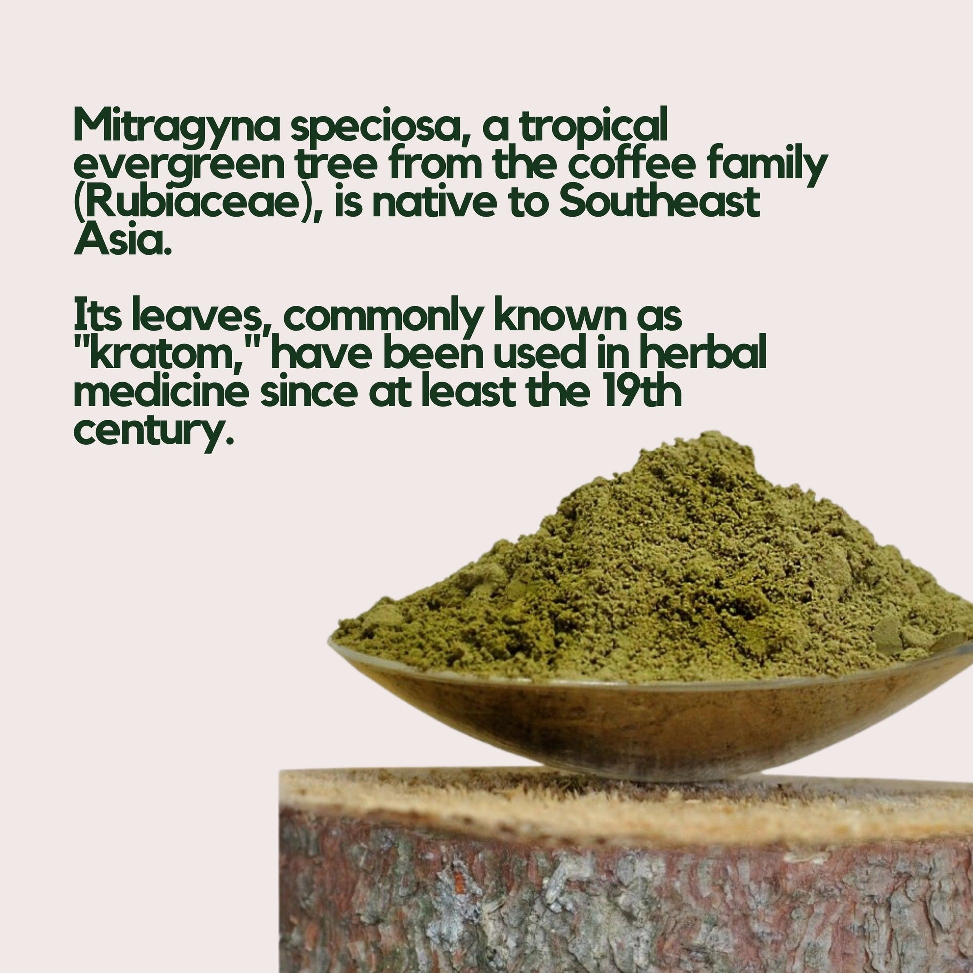 Lime Energy & Focus Kratom Shot