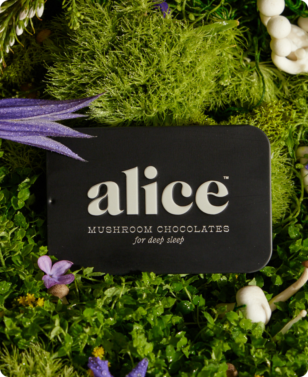 Nightcap Mushroom Chocolate