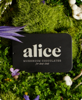Nightcap Mushroom Chocolate