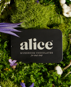 Nightcap Mushroom Chocolate