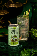 Mojito Adaptogenic Mocktail