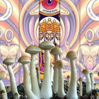 Spore Syringe