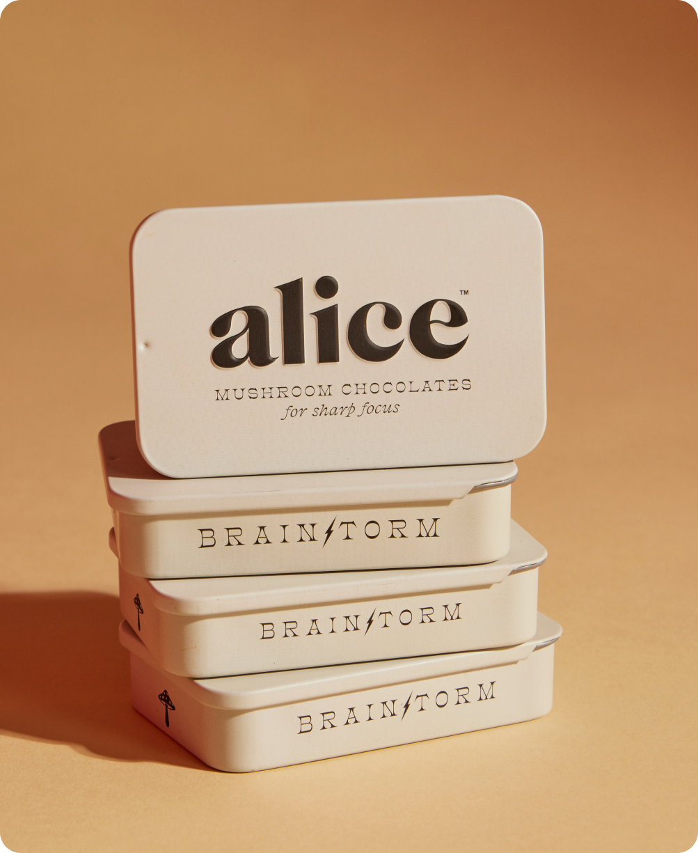 Brainstorm Mushroom Chocolate