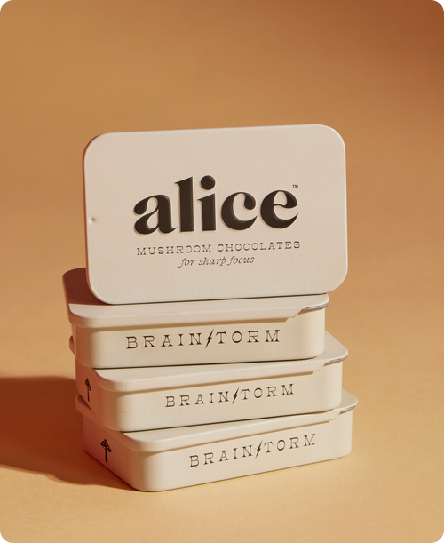 Brainstorm Mushroom Chocolate