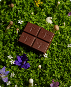 Nightcap Mushroom Chocolate