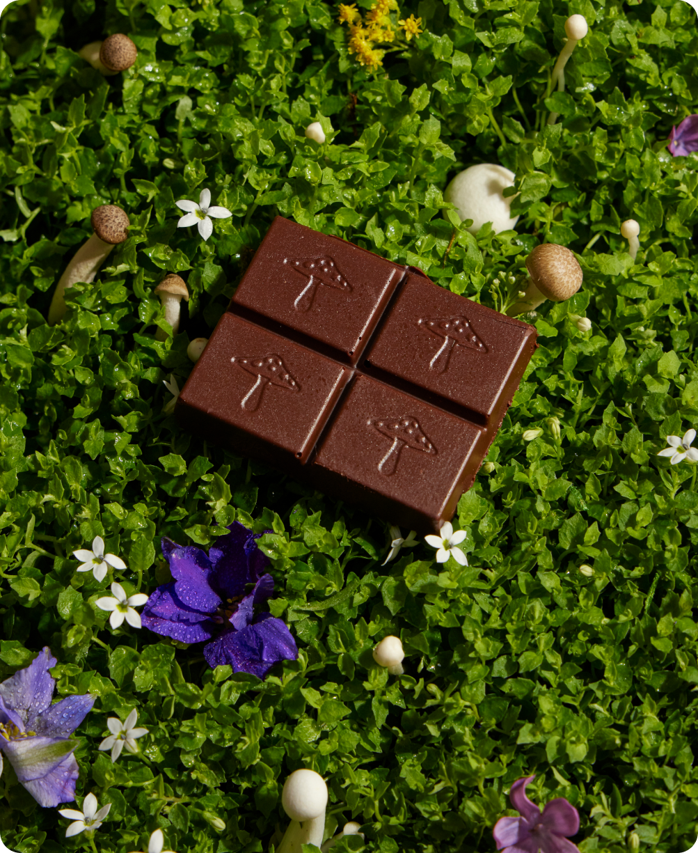 Nightcap Mushroom Chocolate
