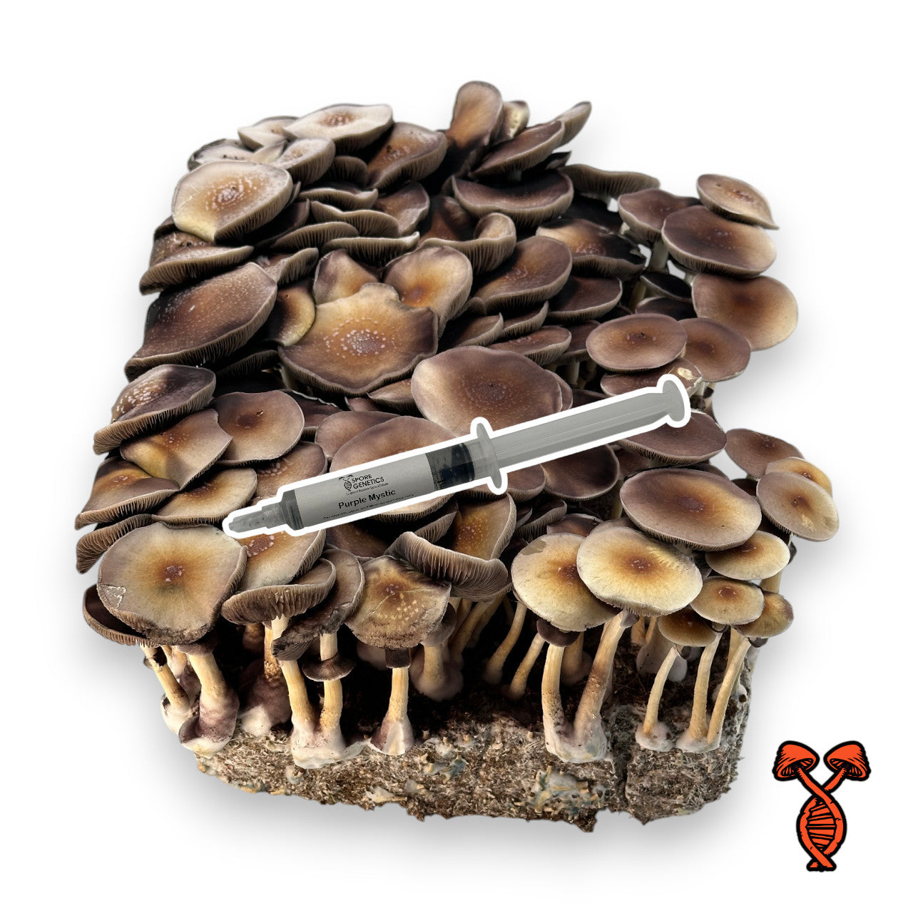 Spore Syringe