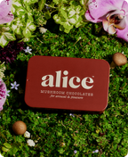 Happy Ending - Mushroom Chocolate