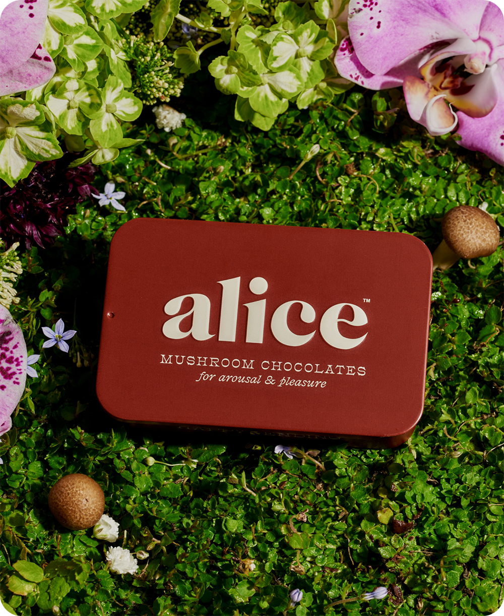 Happy Ending - Mushroom Chocolate