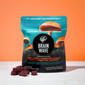 Brain Wave Superfood Mushroom Gummies